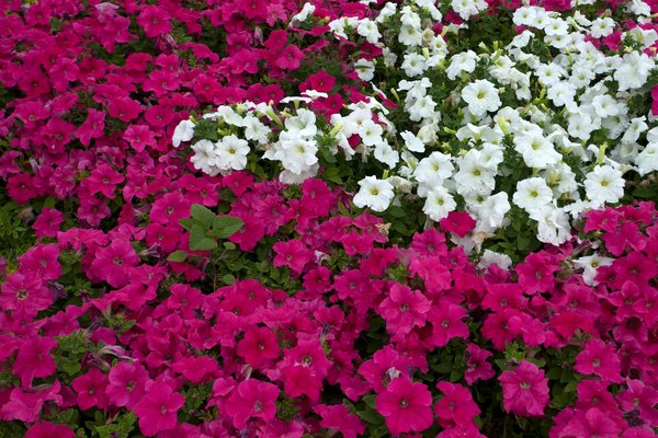 Quelles sont les innovations en matière de portes intérieures pour une meilleure ergonomie ?