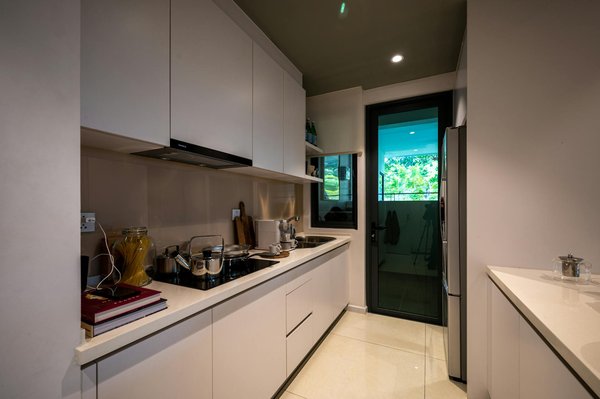 Comment repousser naturellement les moustiques dans le jardin ?