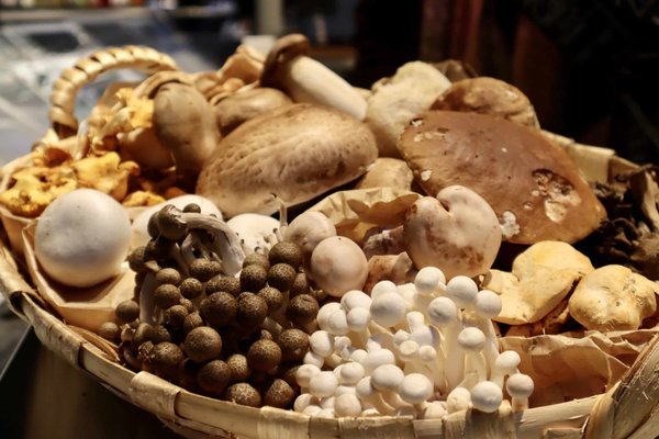 Comment choisir les meilleurs produits de soins pour les hommes pour une peau saine et une barbe soignée ?