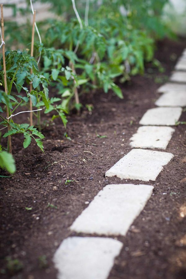 Les bienfaits de la permaculture dans votre jardin