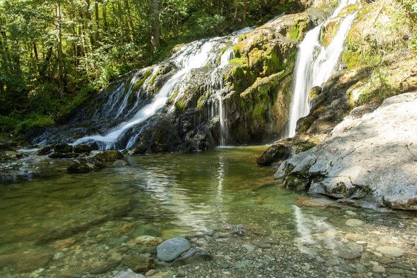 Les avantages d'une piscine en bois pour une esthétique naturelle dans le jardin