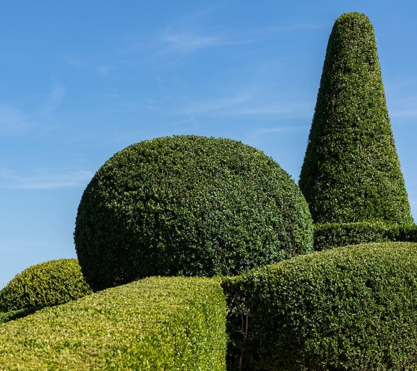 les idées créatives pour personnaliser votre jardin