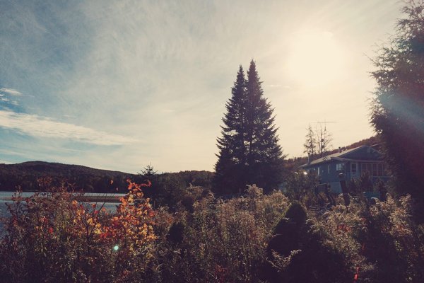 Quelles couleurs pour une décoration inspirée de l'automne ?