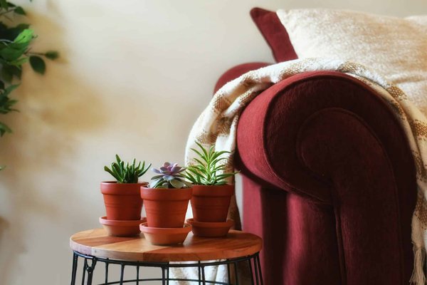 Le canapé terracota qui s'allie parfaitement à votre espace de vie